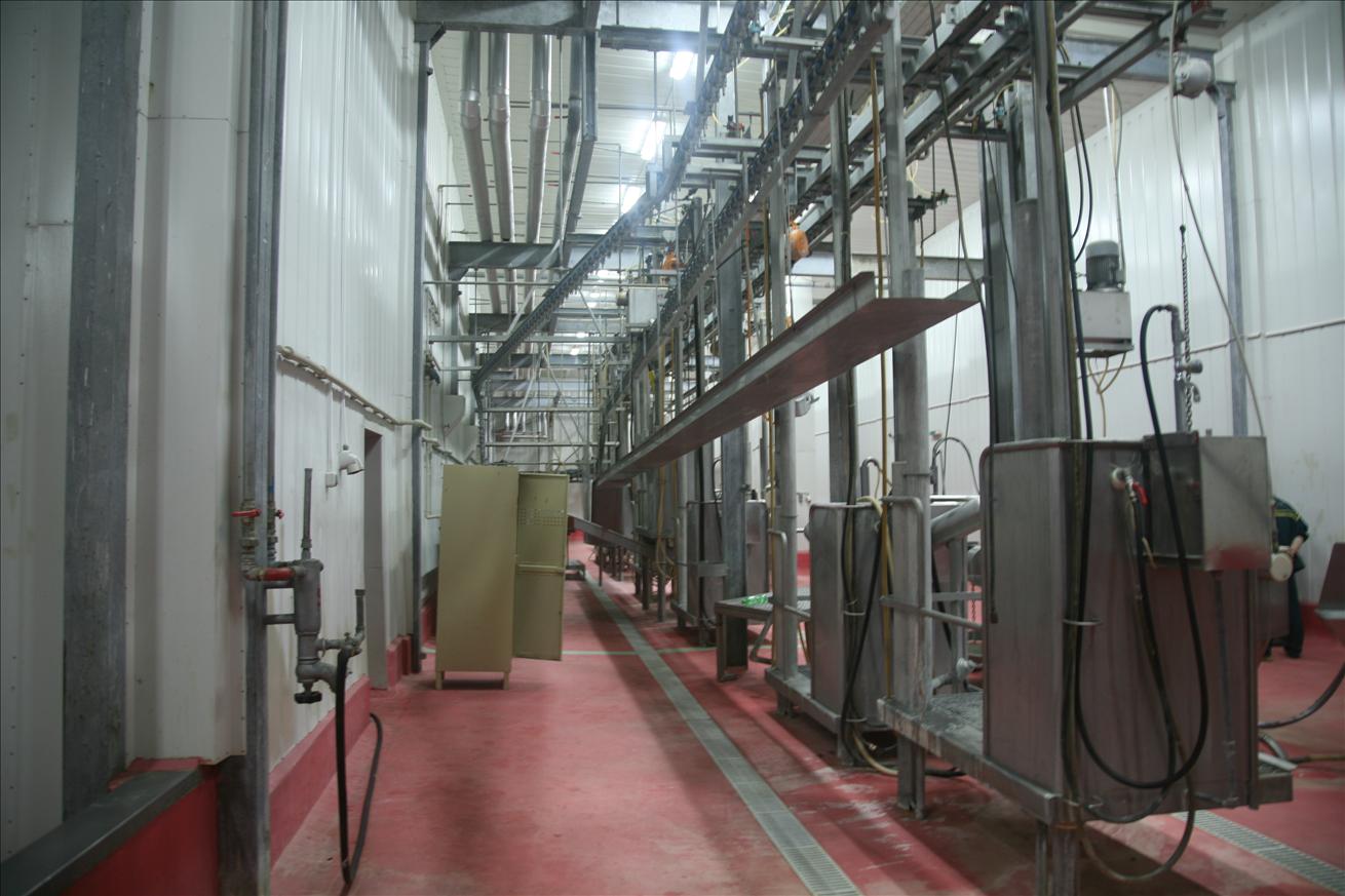 Complete slaughterhouse for sale cattle pig lamb lines Riniker Laska Bulgaria - Lambda Coherence LTD
